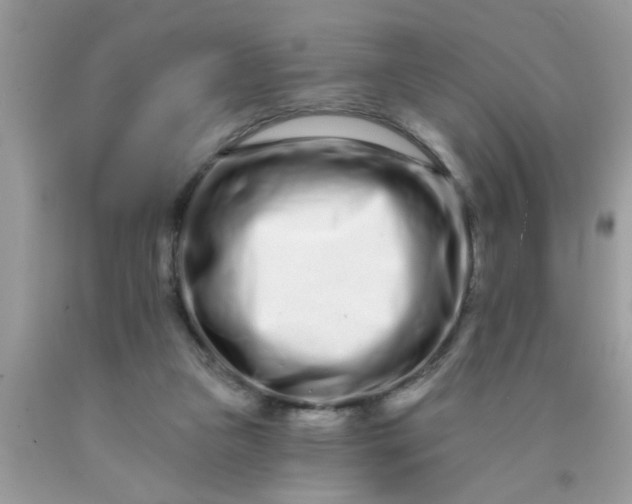 X0000090500161200707280008