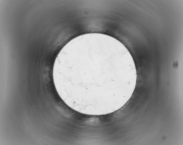 X0000090500162200707280008