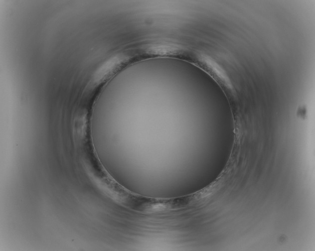 X0000090500163200707280008