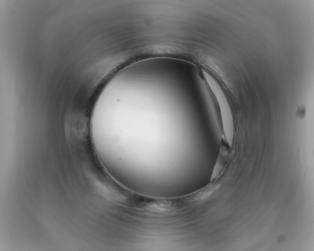 X0000090500164200707280008