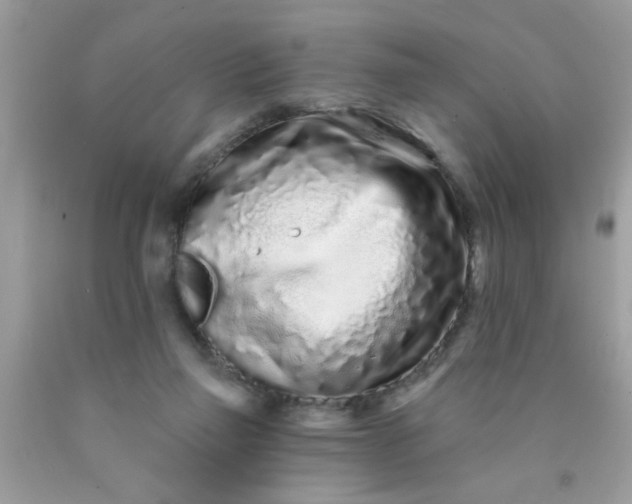 X0000090500165200707280008