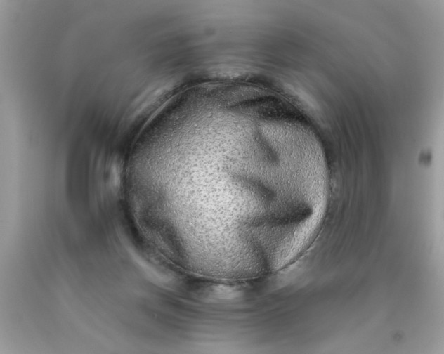 X0000090500166200707280008