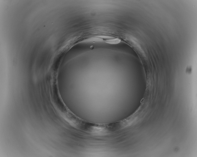 X0000090500167200707280008