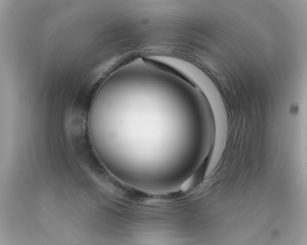 X0000090500168200707280008