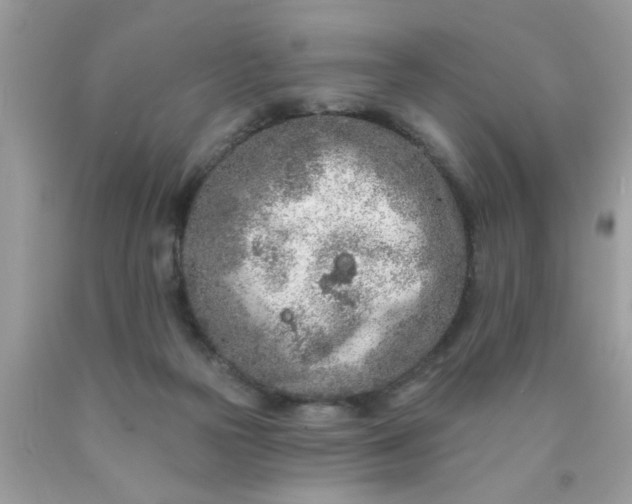 X0000090500169200707280008