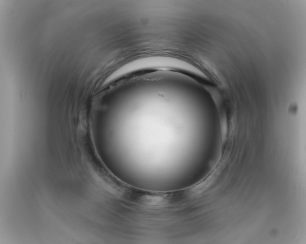 X0000090500170200707280008