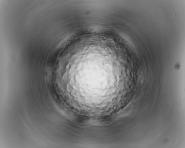 X0000090500171200707280008