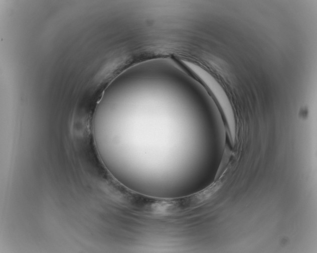 X0000090500172200707280008