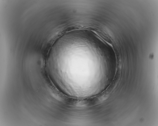 X0000090500173200707280008