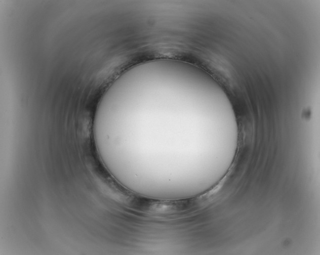 X0000090500174200707280008