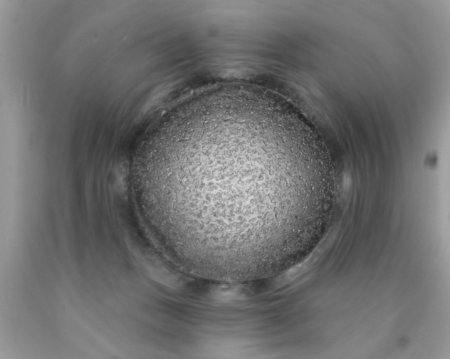 X0000090500175200707280008