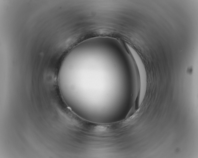 X0000090500176200707280008