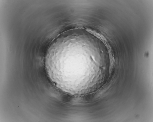 X0000090500177200707280009