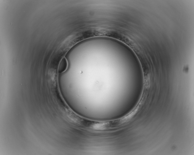 X0000090500178200707280009