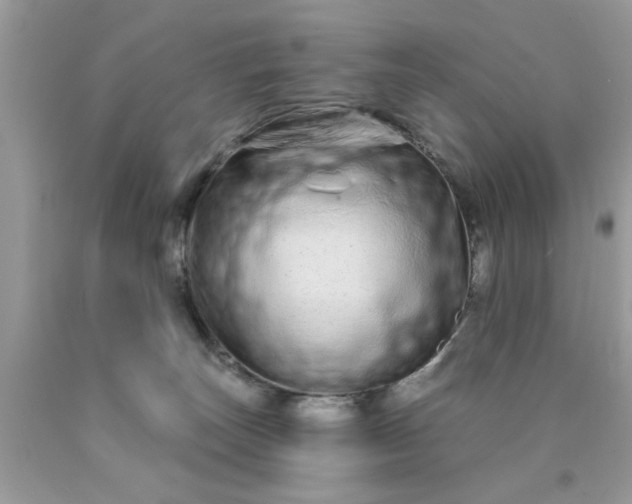 X0000090500179200707280009