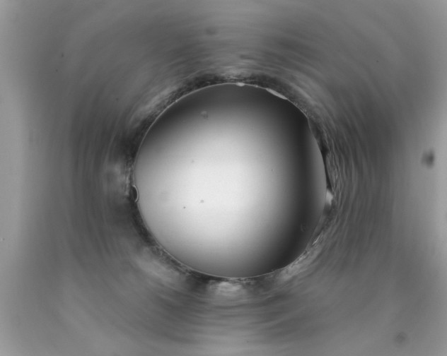 X0000090500180200707280009