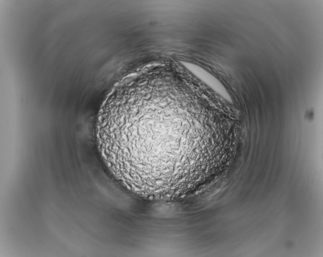 X0000090500181200707280009