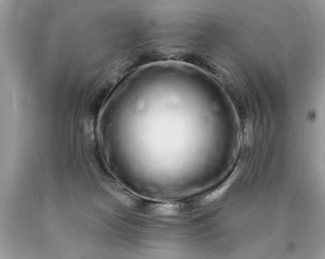 X0000090500182200707280009