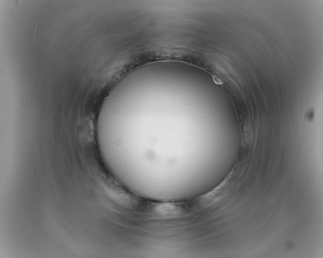 X0000090500183200707280009