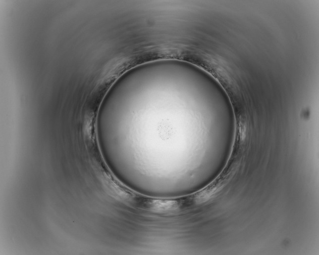 X0000090500185200707280009