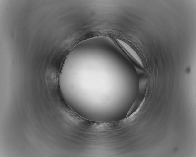 X0000090500186200707280009