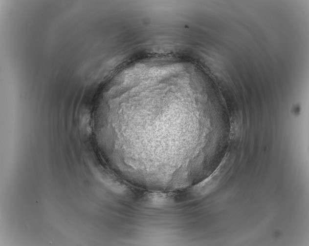 X0000090500187200707280009