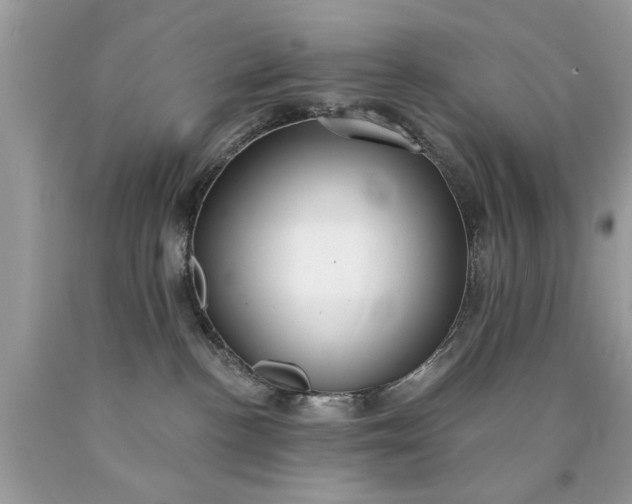 X0000090500188200707280009