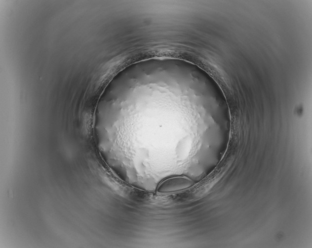 X0000090500189200707280009