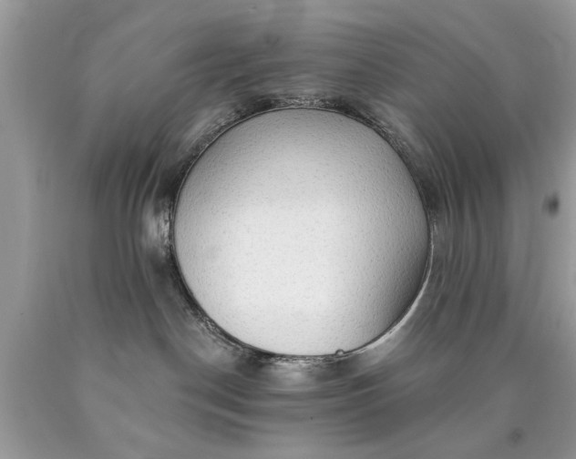 X0000090500190200707280009