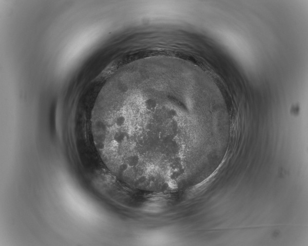 X0000090500191200707280009