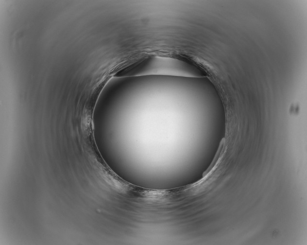 X0000090500192200707280009