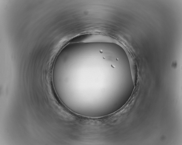 X0000090500193200707280008