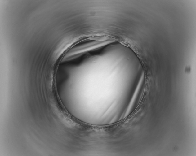 X0000090500194200707280008