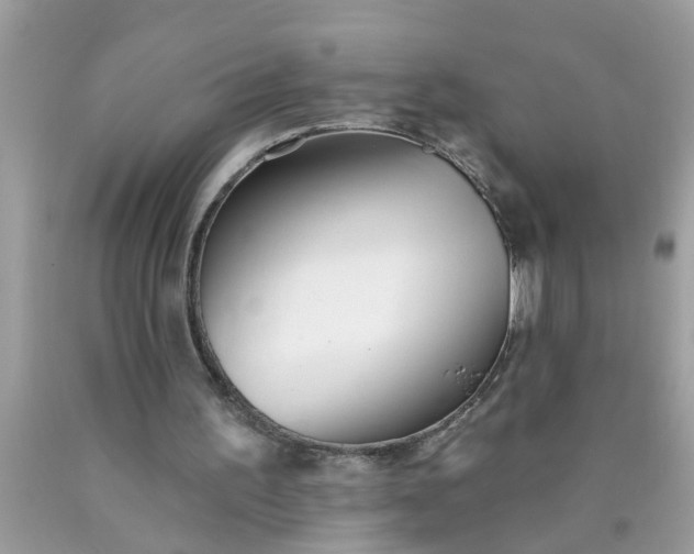 X0000090500195200707280008