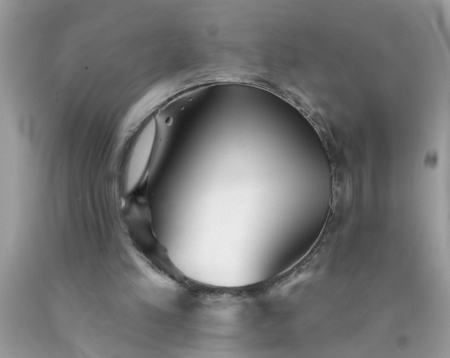 X0000090500197200707280008