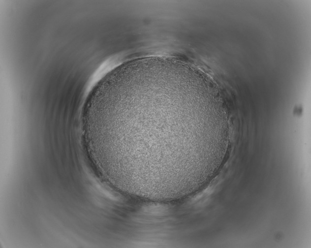 X0000090500198200707280008