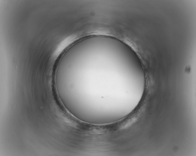 X0000090500199200707280008