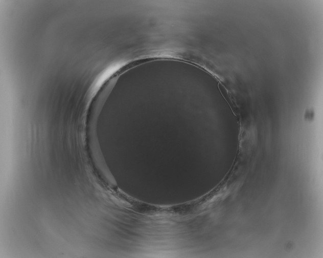 X0000090500200200707280008