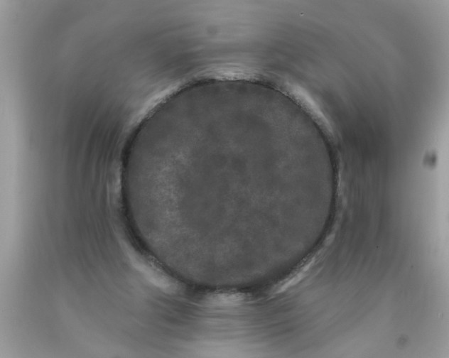 X0000090500202200707280008