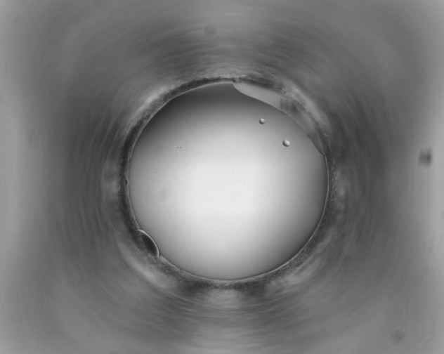 X0000090500203200707280008