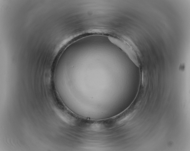 X0000090500204200707280008