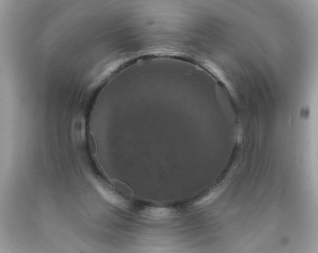 X0000090500205200707280008