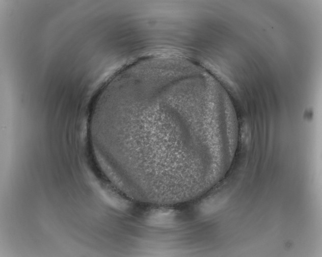 X0000090500206200707280008