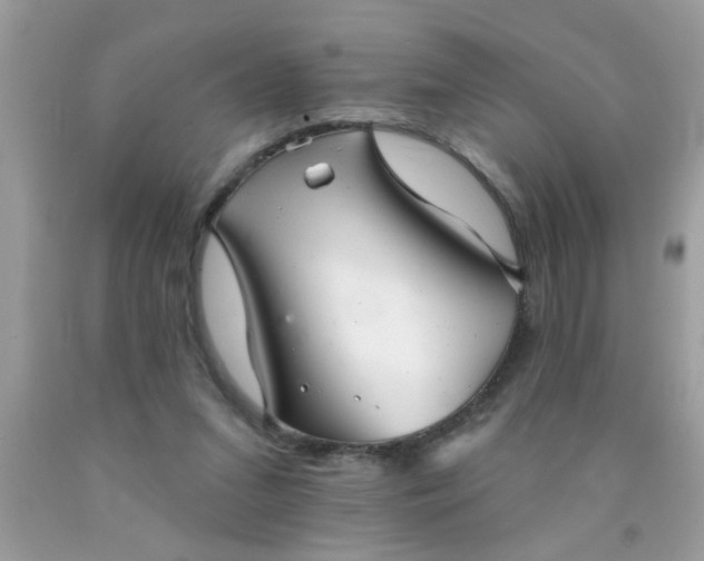 X0000090500207200707280008