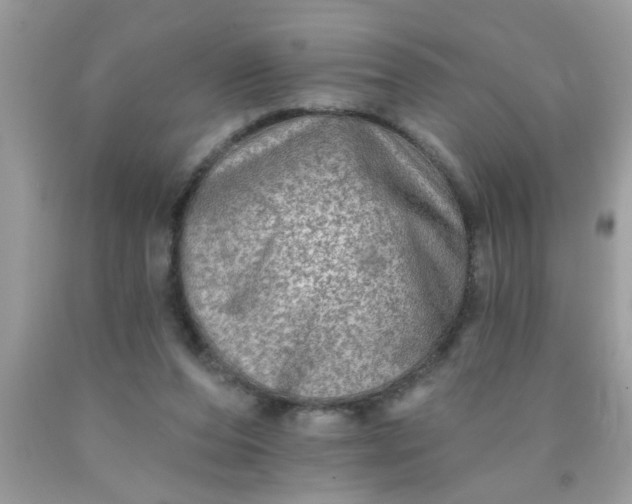 X0000090500208200707280008