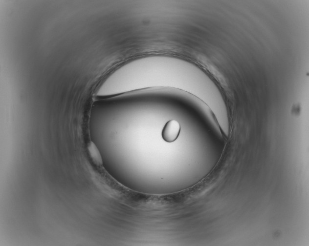 X0000090500209200707280008