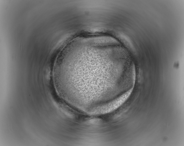 X0000090500210200707280008