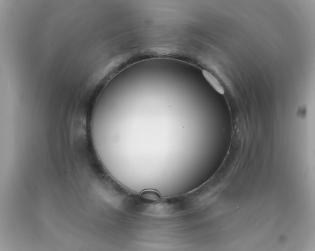 X0000090500212200707280008