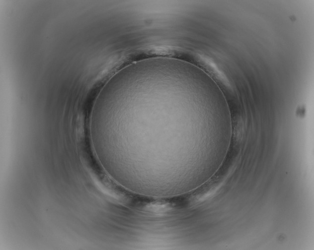 X0000090500213200707280008