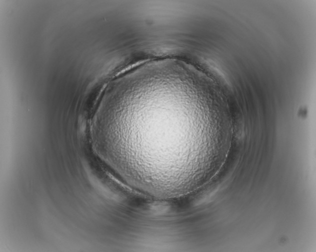 X0000090500214200707280008